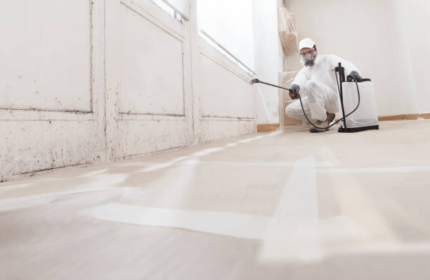 24/7 Emergency Mold Cleanup experts in Central City, IL