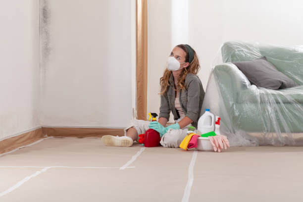 Reliable Mold Cleanup contractor in Central City, IL by WQB Mold Removal